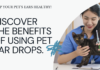 Effective Pet Ear Drops for Healthy Ears